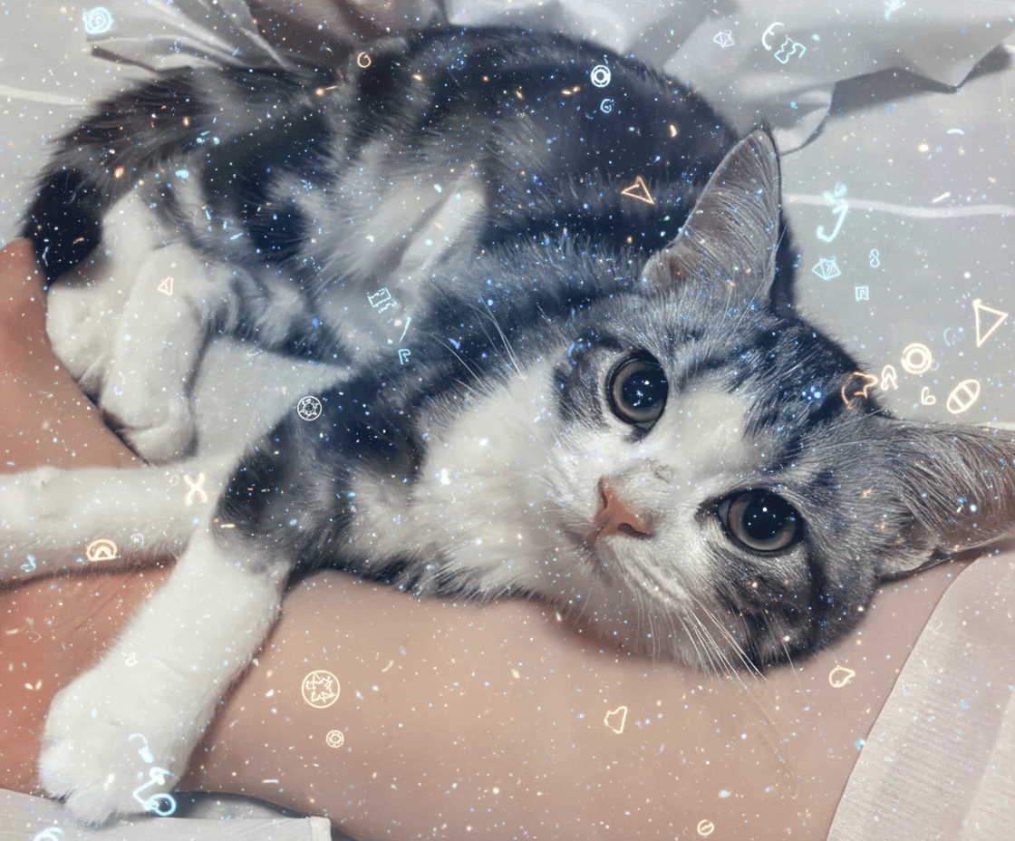 Magical Forest Cat Drawing